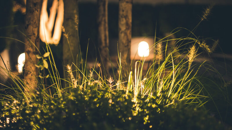 Luminarias solares para jardín