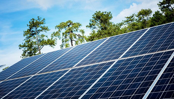 ¿Es rentable instalar paneles solares? Descubre los beneficios económicos