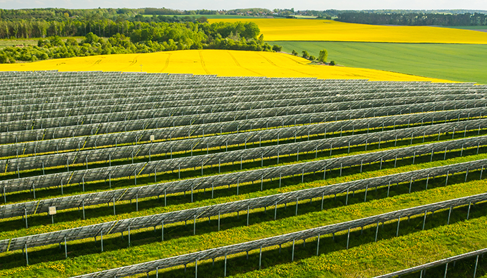Descubre que es huerto solar