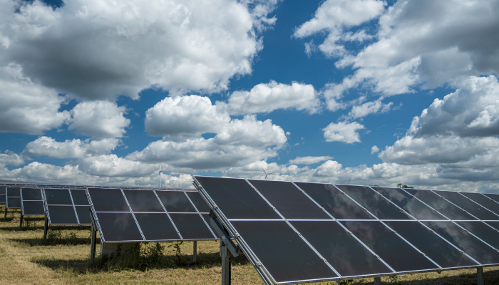 Fotografía de celdas fotovoltaicas en el horizonte de un campo. 